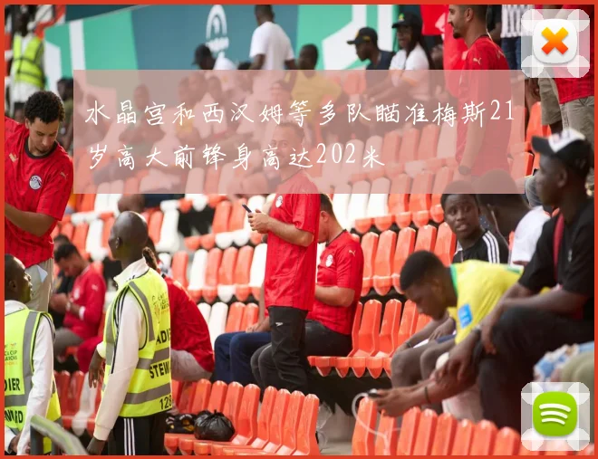 水晶宫和西汉姆等多队瞄准梅斯21岁高大前锋身高达202米